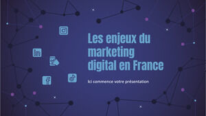 Wyzwania marketingu cyfrowego we Francji