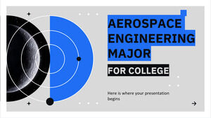 สาขาวิชาวิศวกรรมการบินและอวกาศสำหรับวิทยาลัย