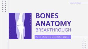 Percée dans l’anatomie osseuse