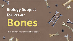 Предмет биологии для Pre-K: кости