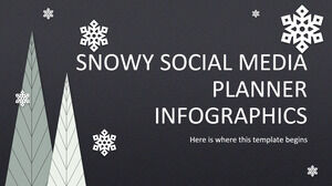 Infografía del planificador de redes sociales nevado