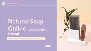 Предложение онлайн-бизнес-проекта натурального мыла