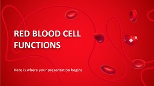 Kırmızı Kan Hücrelerinin İşlevleri