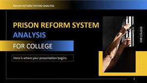 Analiza sistemului de reforma penitenciare pentru colegiu