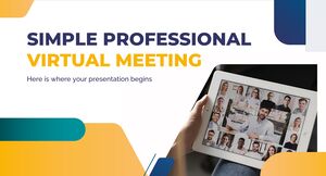 Reunião Virtual Profissional Simples