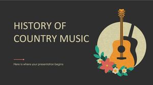 컨트리 음악 미니테마의 역사