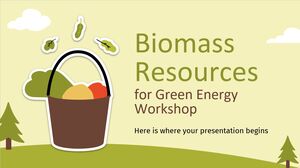 Workshop sulle risorse di biomassa per l'energia verde