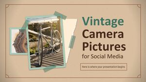 Vintage-Kamerabilder für soziale Medien