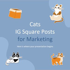 Publicaciones de Cats IG Square para marketing