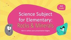 Subiect de știință pentru elementar - clasa a III-a: roci și minerale
