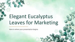 Elegant Eucalyptus Leaves for Marketing