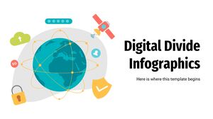 Infografică Digital Divide