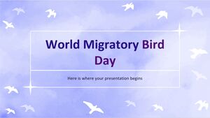 Journée mondiale des oiseaux migrateurs