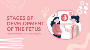 Étapes de développement du fœtus