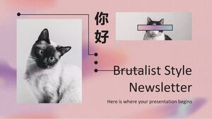 Newsletter in stile brutalista