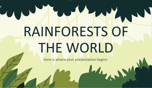 Foreste pluviali del mondo