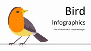 鳥のインフォグラフィックス