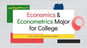 Hauptfach Wirtschaft und Ökonometrie für das College