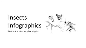 Infographie sur les insectes