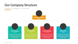 PPT materials for company organizational chart
