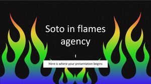 Agencja Soto in Flames