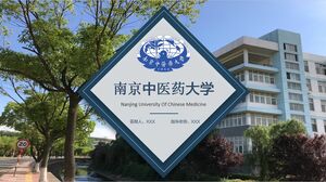 Нанкинский университет китайской медицины