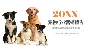 Rapporto sul marketing del settore degli animali domestici 20XX