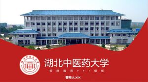 มหาวิทยาลัยการแพทย์แผนจีนหูเป่ย