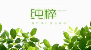 Modello verde fresco della foglia PPT di bella arte verde