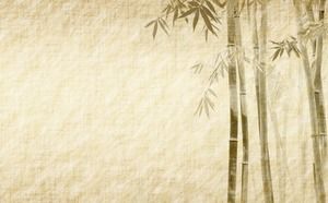 Verde și elegantă bambus pădure de bambus imagine de fundal PPT
