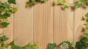 Зеленая натуральная деревянная доска лозы PPT фоновый рисунок