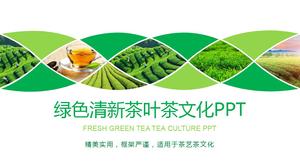 Perkebunan teh hijau berlatar belakang budaya teh