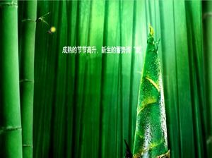 Modello di bambù ppt foresta di bambù fresco germoglio