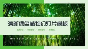 Свежий зеленый бамбуковый лес PPT шаблон