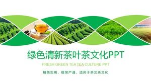Green tea garden background tea culture PPT template