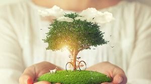 Yeşil ağaç köpek yavrusu Bisiklet çevre Tema PPT arka plan resmi