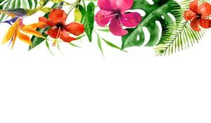 Две красочные акварельные цветы слайд фоновые рисунки