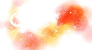 Portocaliu frumos petală diapozitiv imagine de fundal