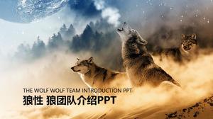狼隊文化PPT模板與狼背景