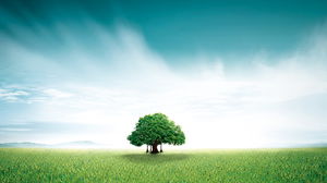美しい草緑の木PPT背景画像