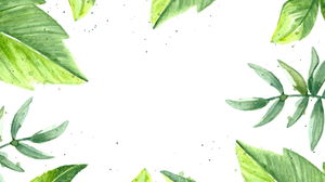 PPT-Hintergrundbild des grünen Blattes des Aquarells