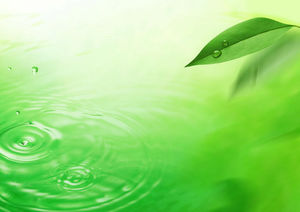 Зеленый лист капли воды волна фоновый рисунок PPT