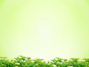 Einfaches PPT-Hintergrundbild des grünen Osmanthushintergrundes