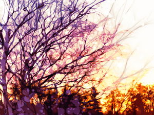 Gambar latar belakang slideshow seni pohon yang indah