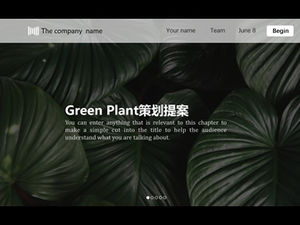 Modèle de plan ppt de plan de proposition de planification de projet de style magazine frais petite plante verte