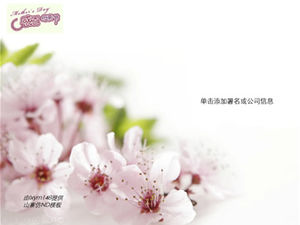 Flor de durazno rosa simple acción de gracias día de la madre plantilla ppt