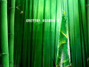 Șampon răcoros de bambus șablon ppt pădure de bambus