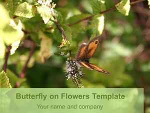 Бабочка собирает цветы естественный ppt template.ppt