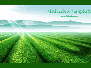 Tea garden green manor ppt template