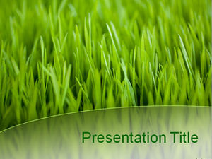 قالب PPT طبيعة العشب الأخضر